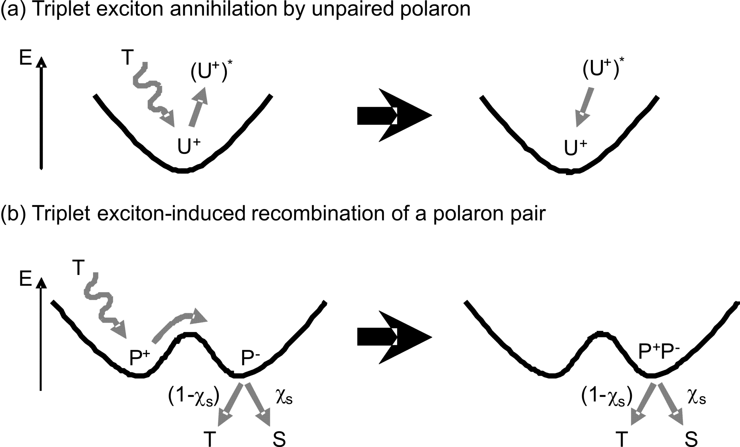 figure3_1