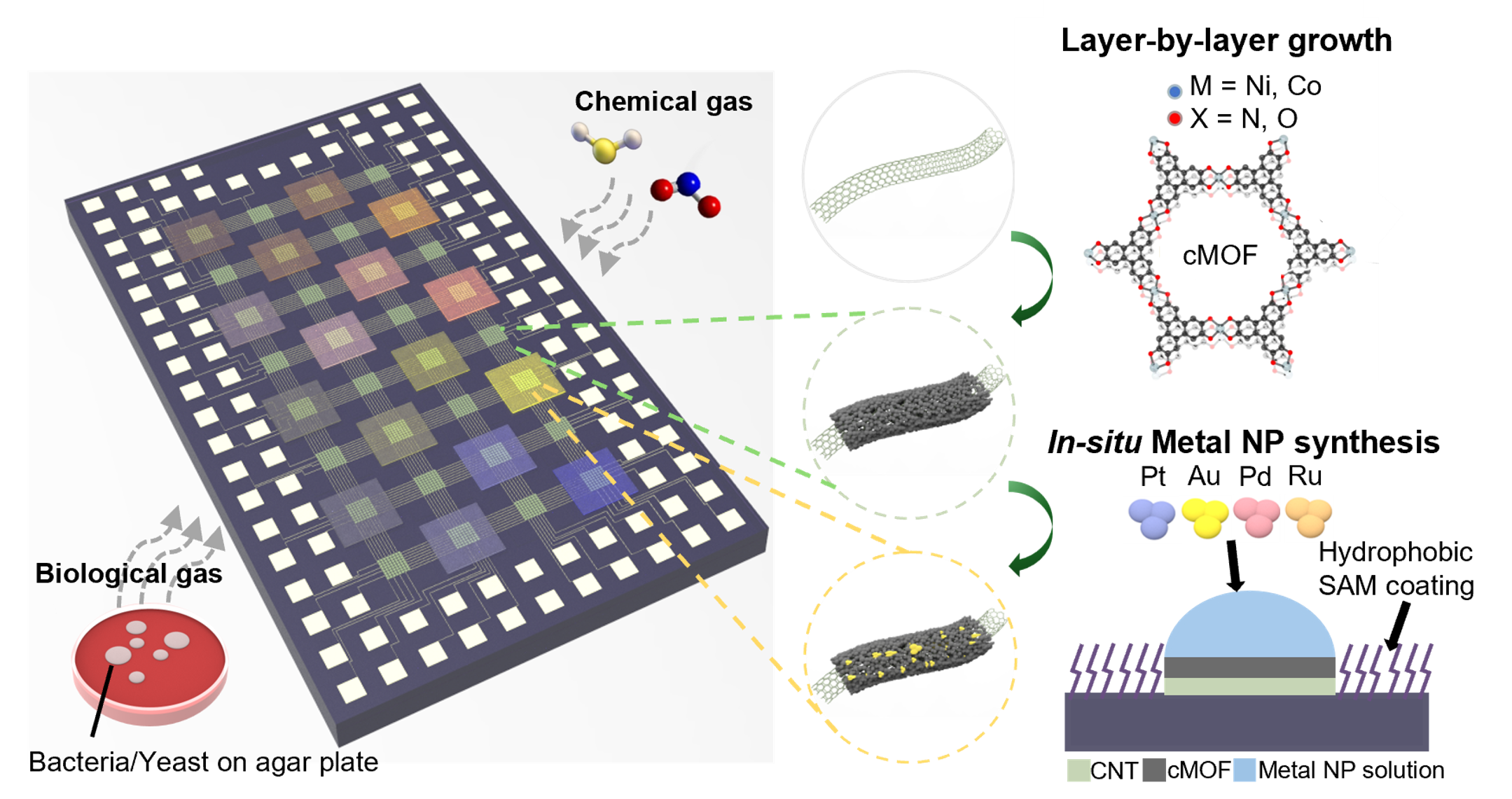 chemical sensing 1